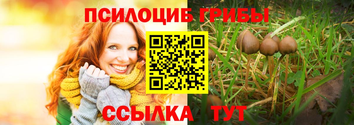 Псилоцибиновые грибы мухоморы Елабуга