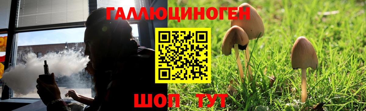 Елабуга  Галлюциногенные грибы Magic Shrooms  Вход с VPN 